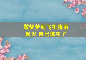 做梦梦到飞机降落起火 自己逃生了